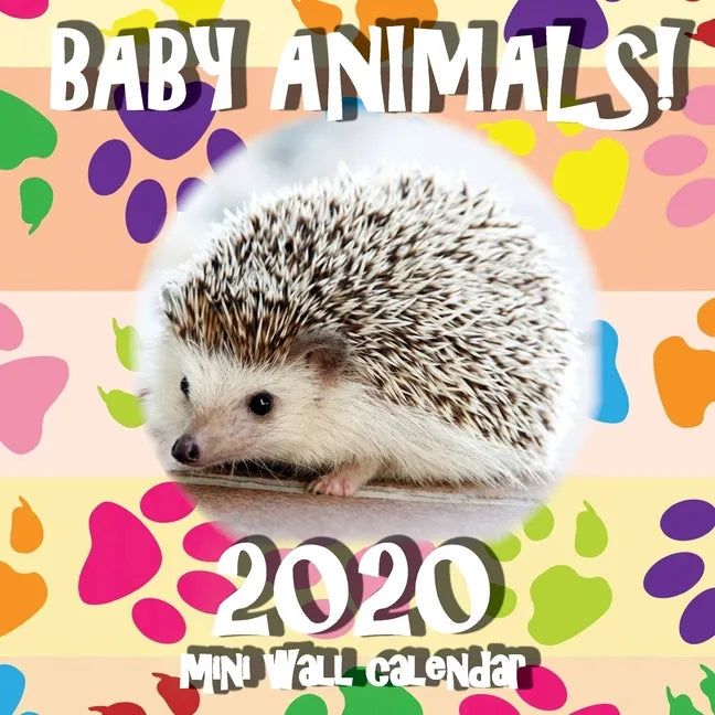 Baby Animals! 2020 Mini Wall Calendar - Paperback