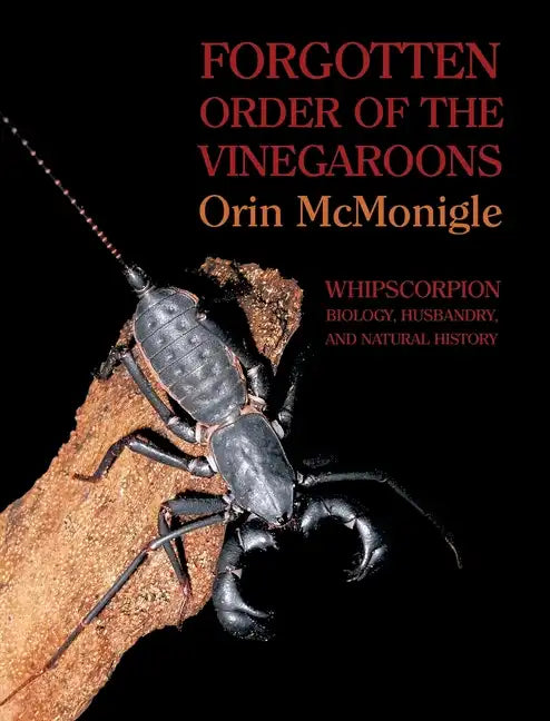 Forgotten Order of the Vinegaroons: Whipscorpion Biology, Husbandry, and Natural History - Hardcover