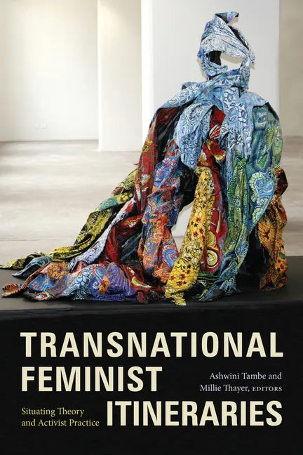 Transnational Feminist Itineraries: Situating Theory and Activist Practice - Paperback
