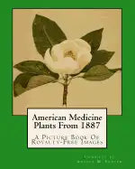 American Medicine Plants From 1887: A Picture Book Of Royalty-Free Images - Paperback