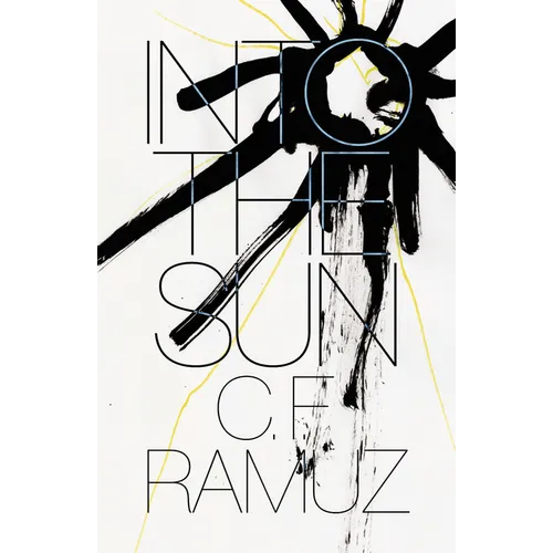 Into the Sun - Paperback