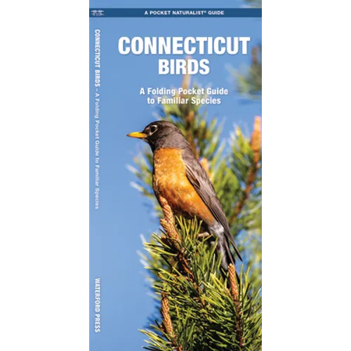Connecticut Birds: A Folding Pocket Guide to Familiar Species