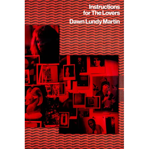 Instructions for the Lovers - Paperback