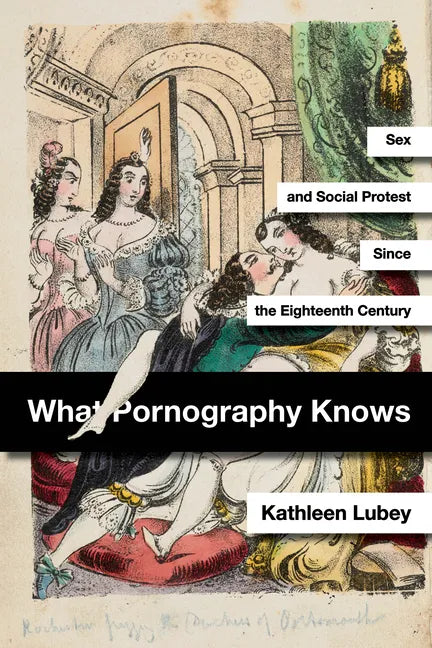 What Pornography Knows: Sex and Social Protest Since the Eighteenth Century - Hardcover