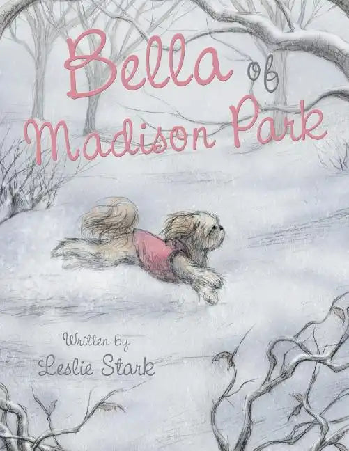 Bella of Madison Park - Paperback