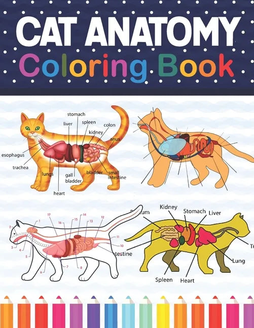 Cat Anatomy Coloring Book: Cat Anatomy Coloring Book for Kids & Adults. The New Surprising Magnificent Learning Structure For Veterinary Anatomy - Paperback