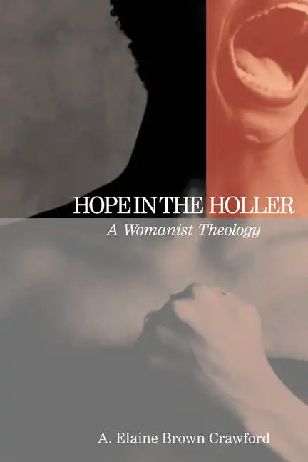 Hope in the Holler: A Womanist Theology - Paperback