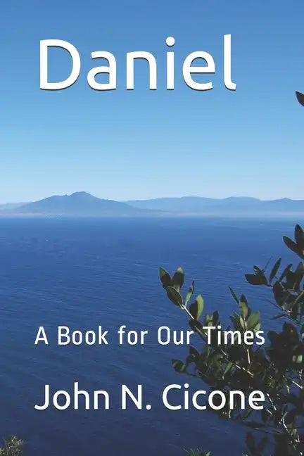 Daniel: A Book for Our Times - Paperback