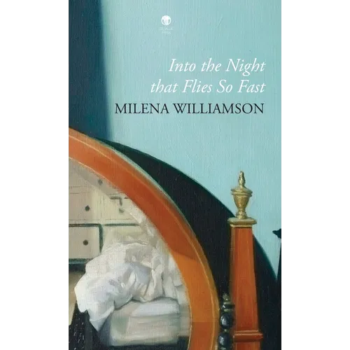 Into the Night that Flies So Fast - Hardcover