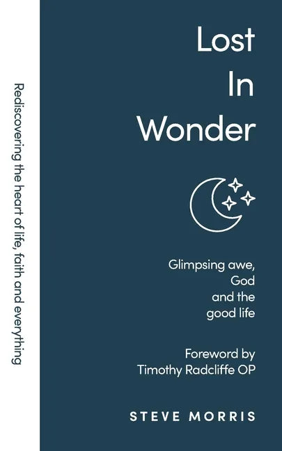 Lost in Wonder: Glimpsing Awe, God and the Good Life (Rediscovering Faith Life And Everything) - Paperback