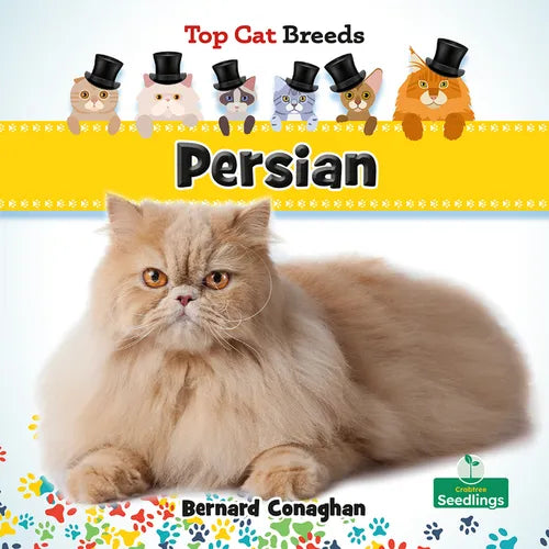 Persian - Paperback
