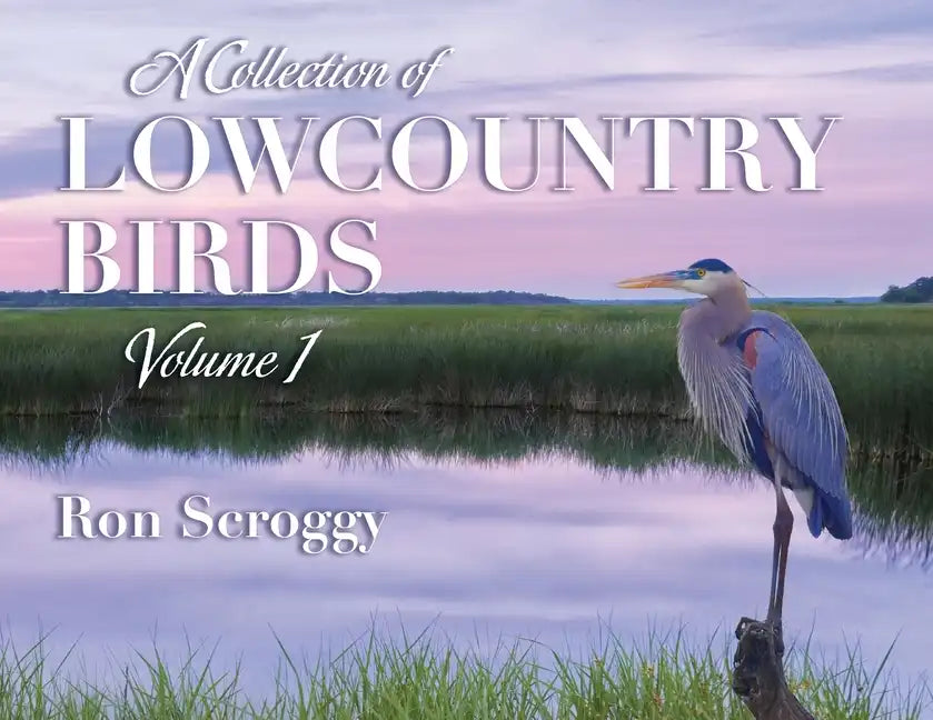 A Collection of Lowcountry Birds - Paperback