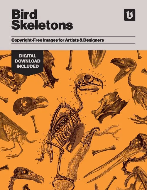 Bird Skeletons: Copyright-Free Images for Artists & Designers - Paperback