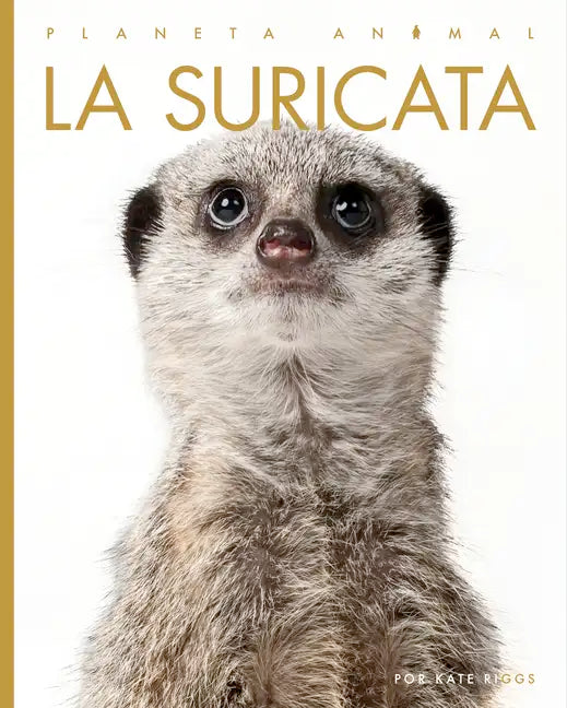 La Suricata - Paperback