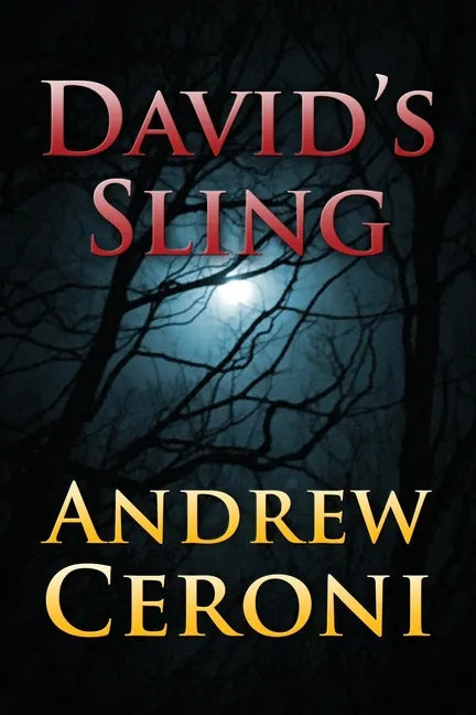 David's Sling - Paperback