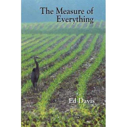 The Measure of Everything - Paperback