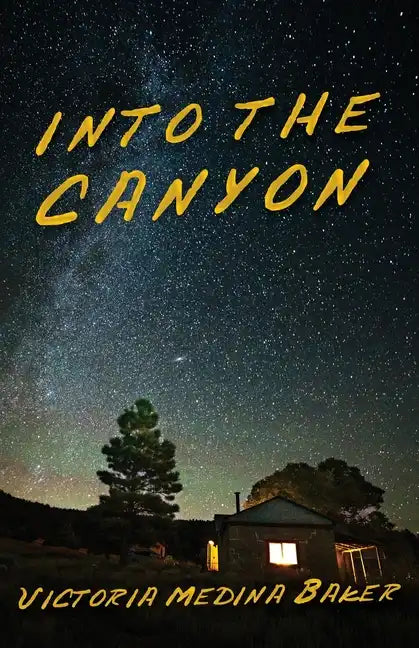 Into the Canyon - Paperback