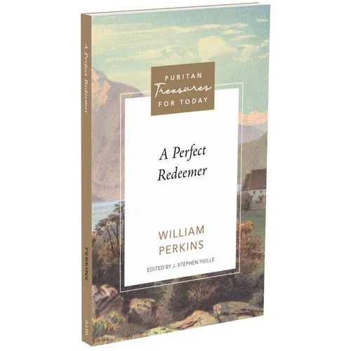 A Perfect Redeemer - Paperback