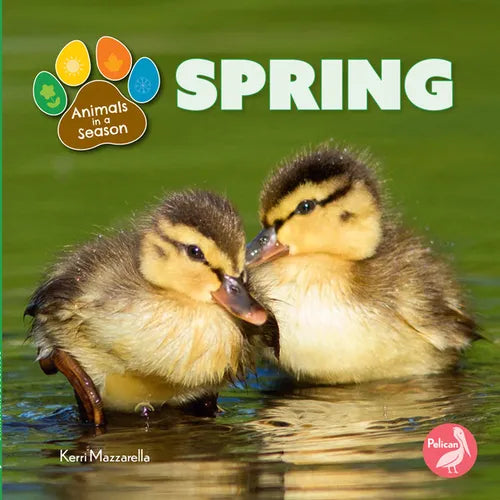 Spring - Paperback