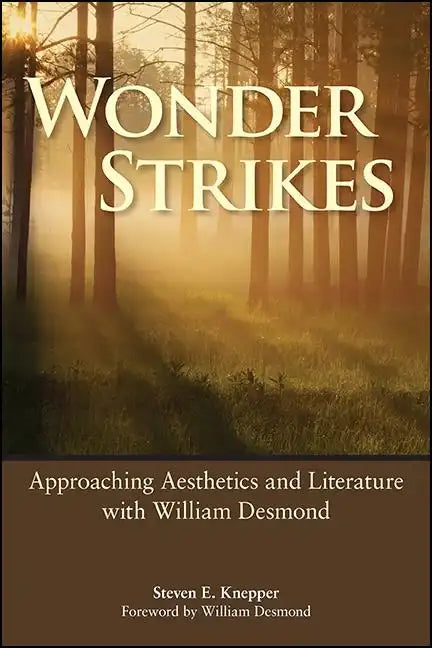 Wonder Strikes: Approaching Aesthetics and Literature with William Desmond - Paperback