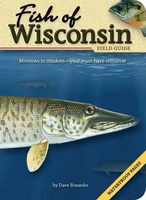 Fish of Wisconsin Field Guide - Paperback