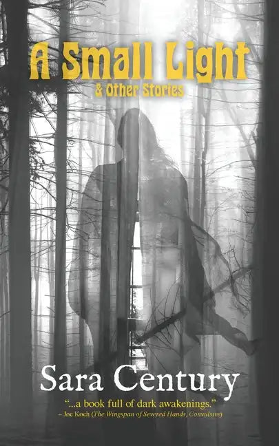 A Small Light & Other Stories - Paperback