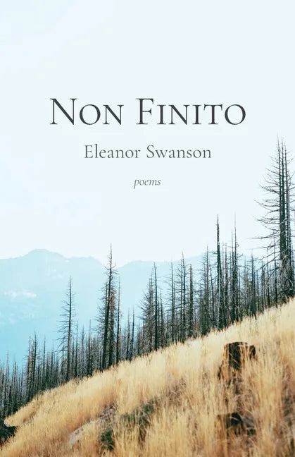 Non Finito - Paperback