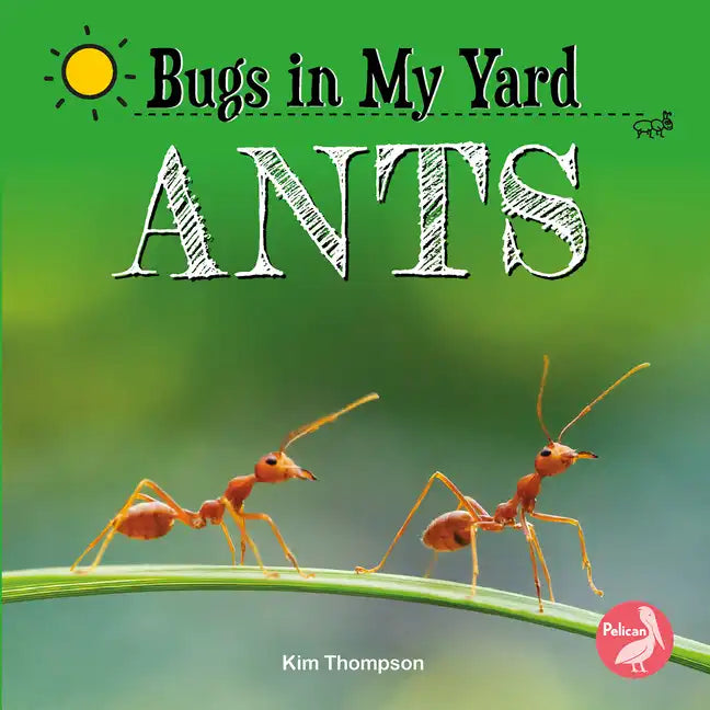 Ants - Paperback