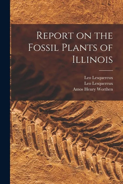 Report on the Fossil Plants of Illinois - Paperback