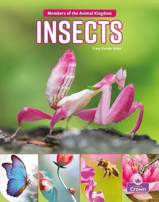 Insects - Paperback