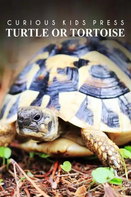 Turtle Or Tortoise - Curious Kids Press: Kids book about animals and wildlife, Children's books 4-6 - Paperback