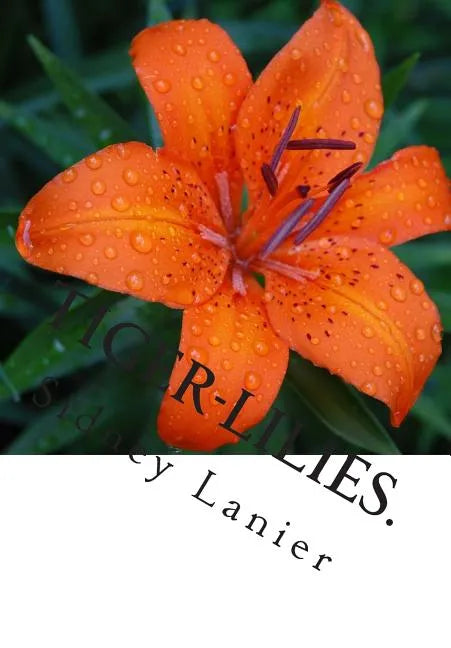 Tiger-Lilies.: A Novel. - Paperback