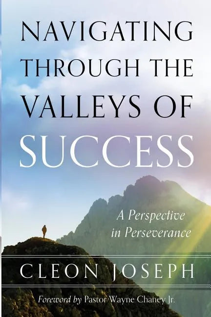 Navigating Through The Valleys Of Success: A Perspective In Perseverance - Paperback