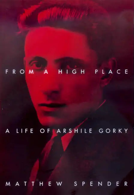 From a High Place: A Life of Arshile Gorky - Paperback