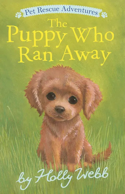 The Puppy Who Ran Away - Paperback