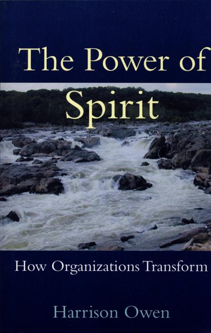 The Power of Spirit: How Organizations Transform - Paperback