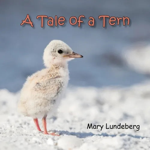 A Tale of a Tern - Paperback