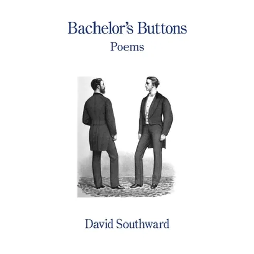 Bachelor's Buttons - Paperback