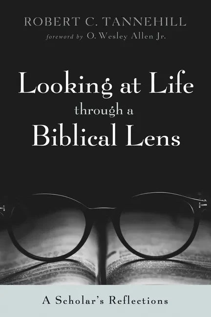 Looking at Life Through a Biblical Lens: A Scholar's Reflections - Paperback