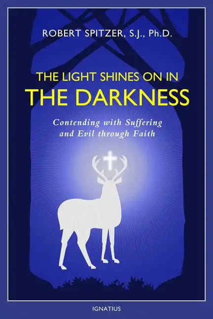The Light Shines on in the Darkness: Transforming Suffering Through Faith - Paperback