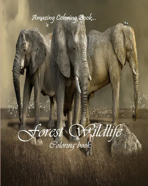 Forest Wildlife: Wildlife Coloring Book - Paperback
