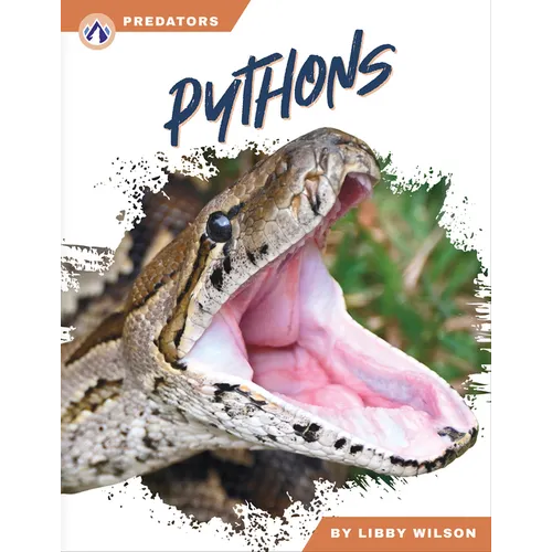 Pythons - Library Binding