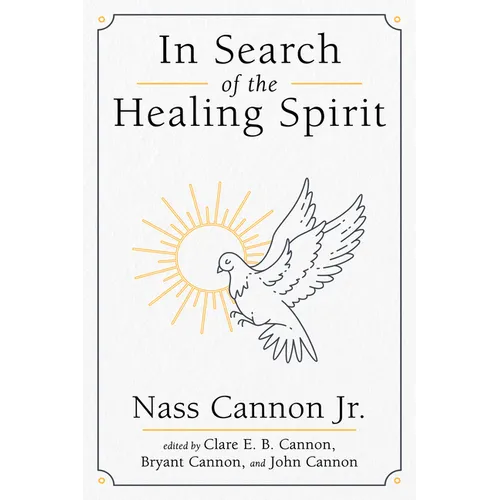 In Search of the Healing Spirit - Paperback