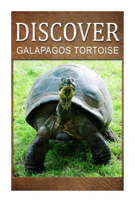 Galapagos Tortoise - Discover: Early reader's wildlife photography book - Paperback