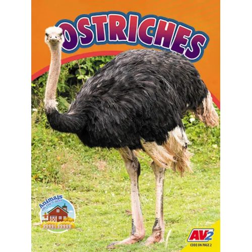 Ostriches - Library Binding