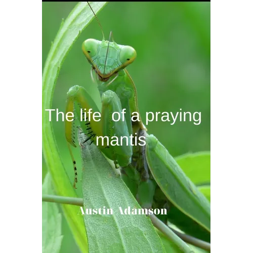 Тhe life of a praying mantis - Paperback