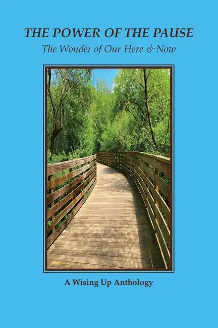 The Power of the Pause: The Wonder of Our Here & Now - Paperback
