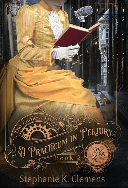 A Practicum in Perjury - Hardcover