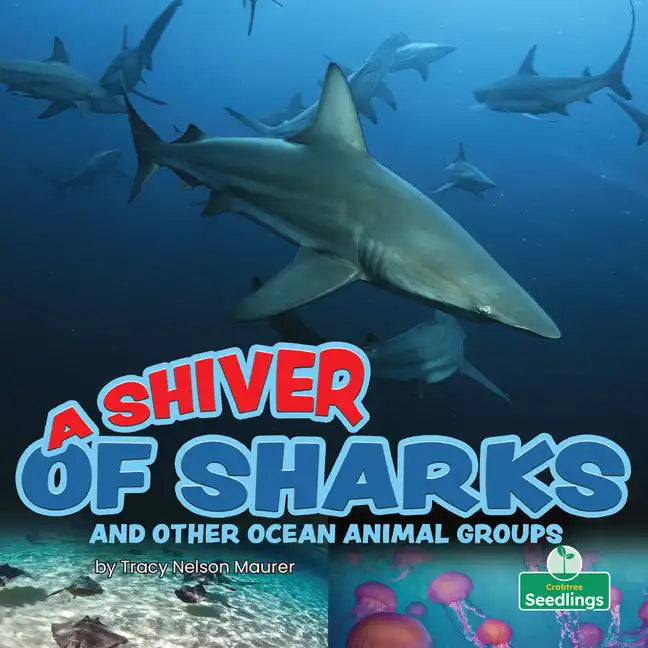 A Shiver of Sharks and Other Ocean Animal Groups - Library Binding