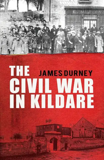The Civil War in Kildare - Paperback